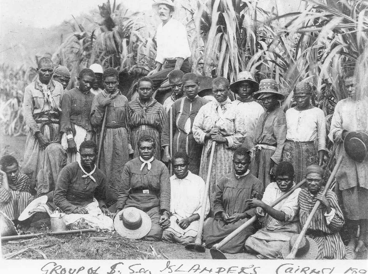 About 20 women posing in front of cane, holding their cane-cutting tools. A white man is also present.
