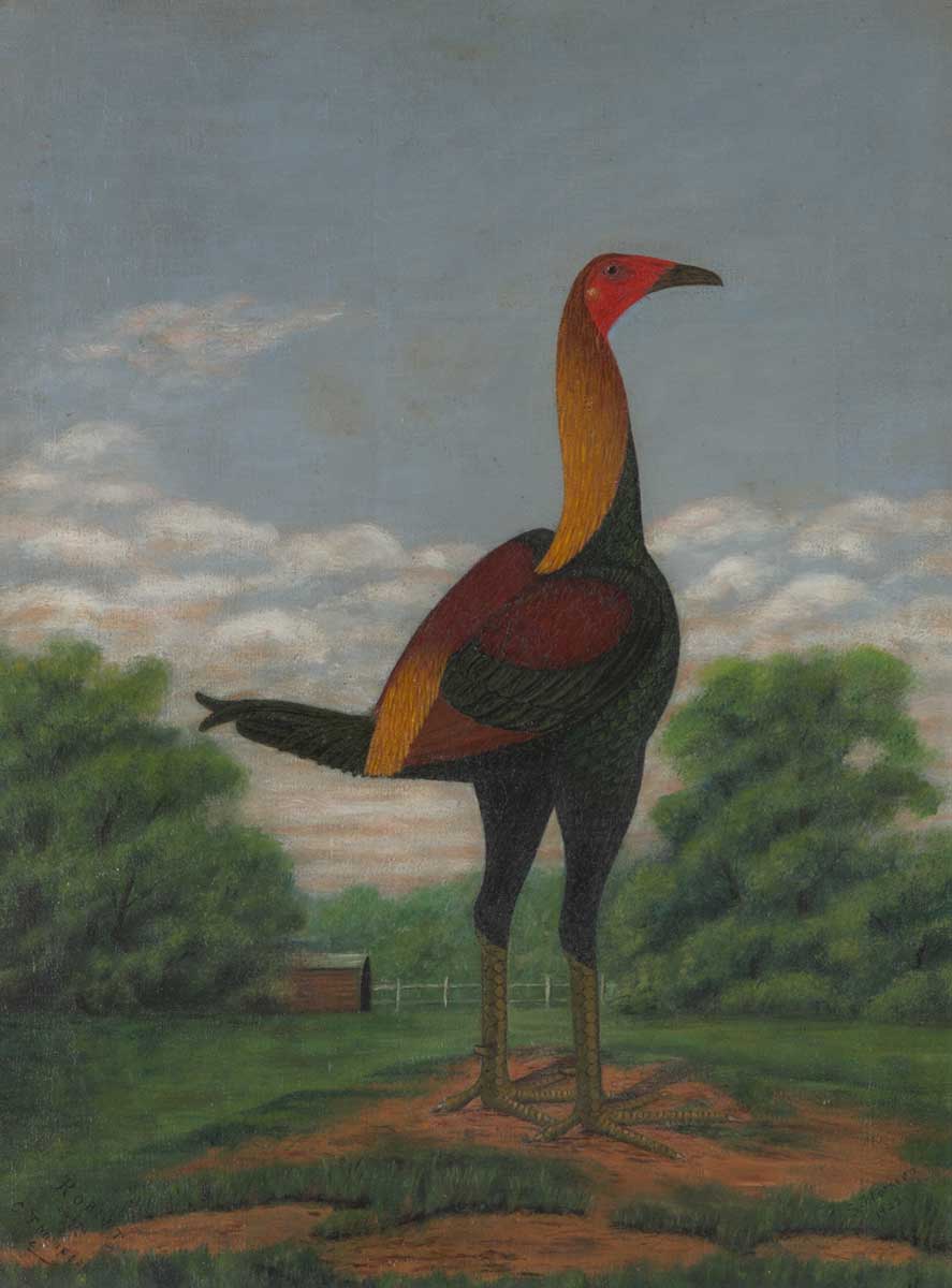 An oil painting featuring a hard feathered bantam rooster. The painting is framed in a black wooden frame with glass over the top. There are eight medals mounted underneath the painting. - click to view larger image