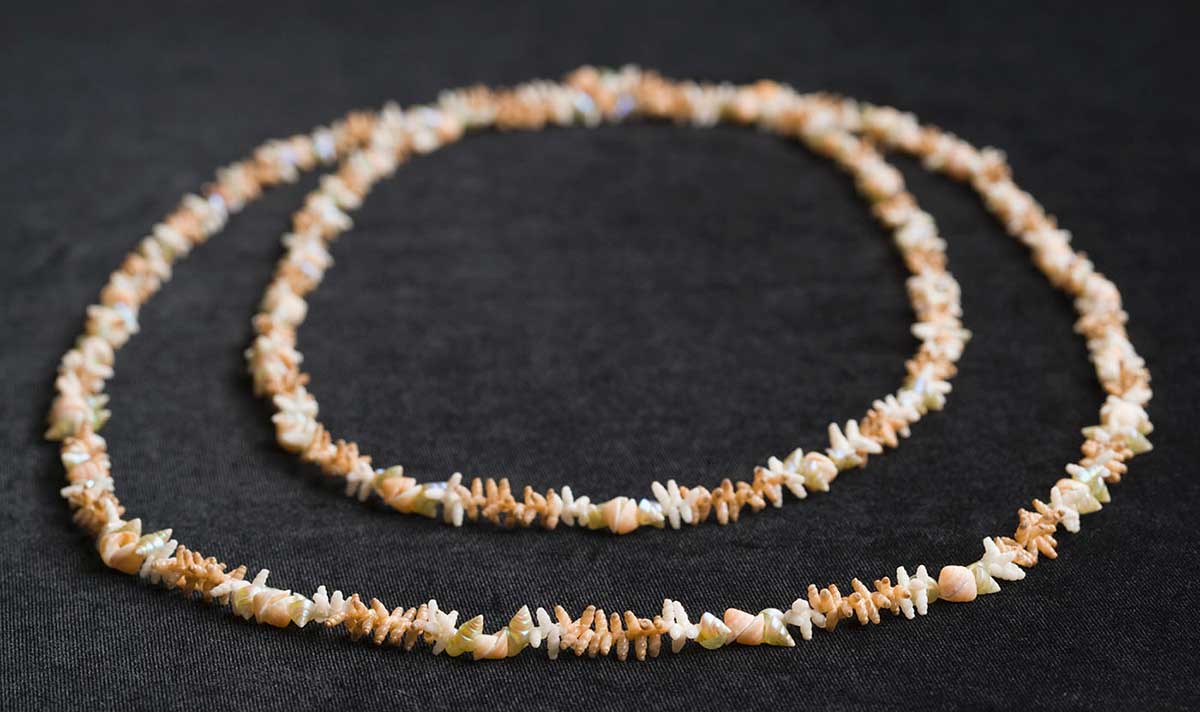 A necklace made from sea shells. There are three different types of shells in the necklace.