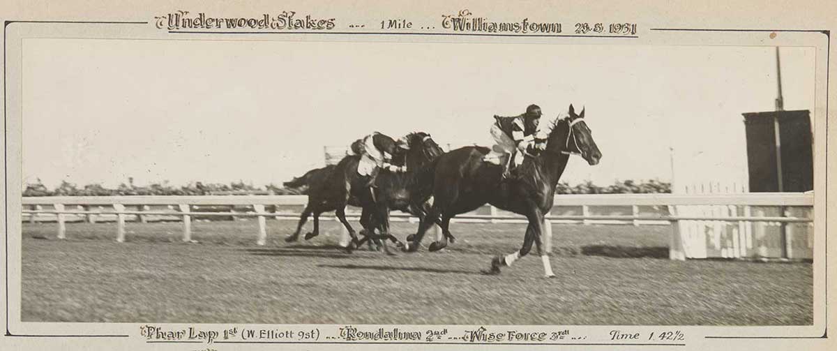 A black and white photo of Phar Lap winning the Underwood Stakes, 1931. - click to view larger image