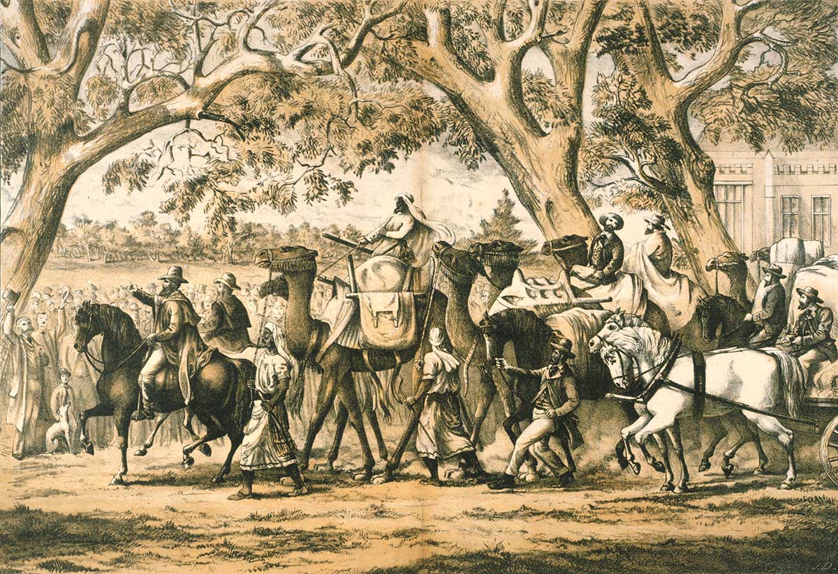 Tinted lithograph showing crowds of people watching the men, horses and camels of the expedition depart.
