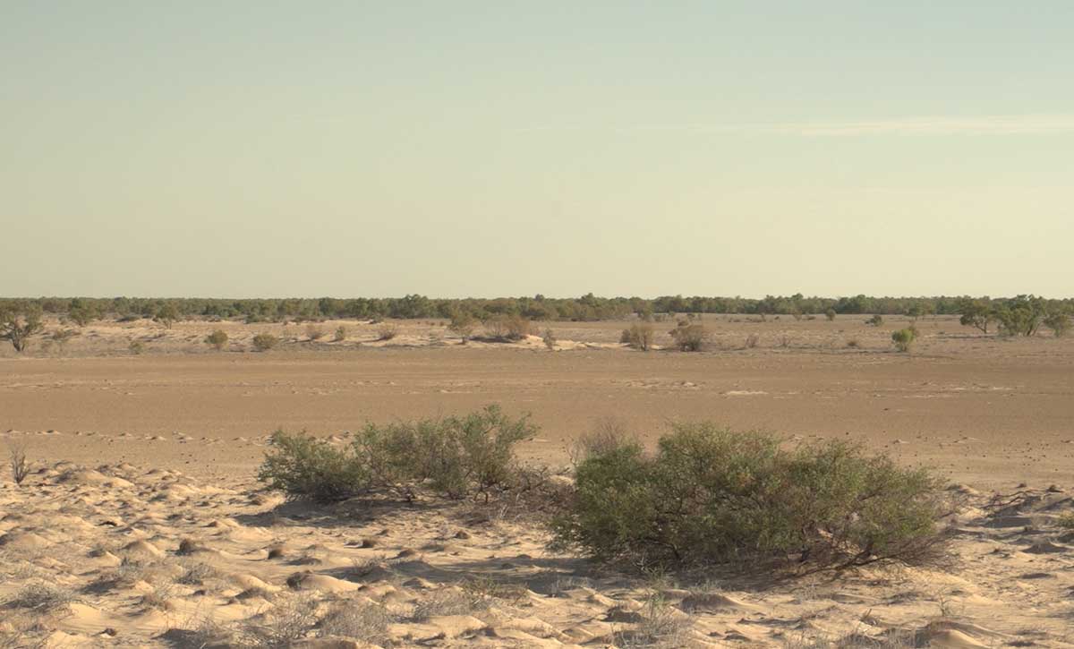 A photo of a desert-like landscape with a scattering of small green bushes in the foreground and scrub vegetation in the background.