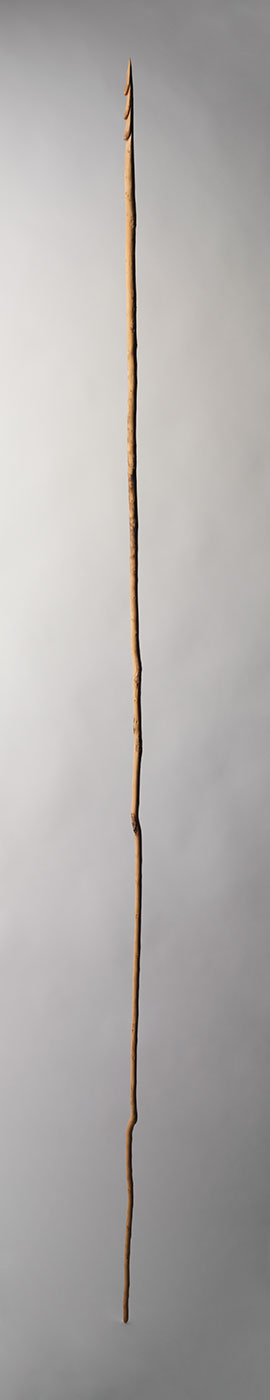 Wooden spears collected at Papunya in 1972. - click to view larger image