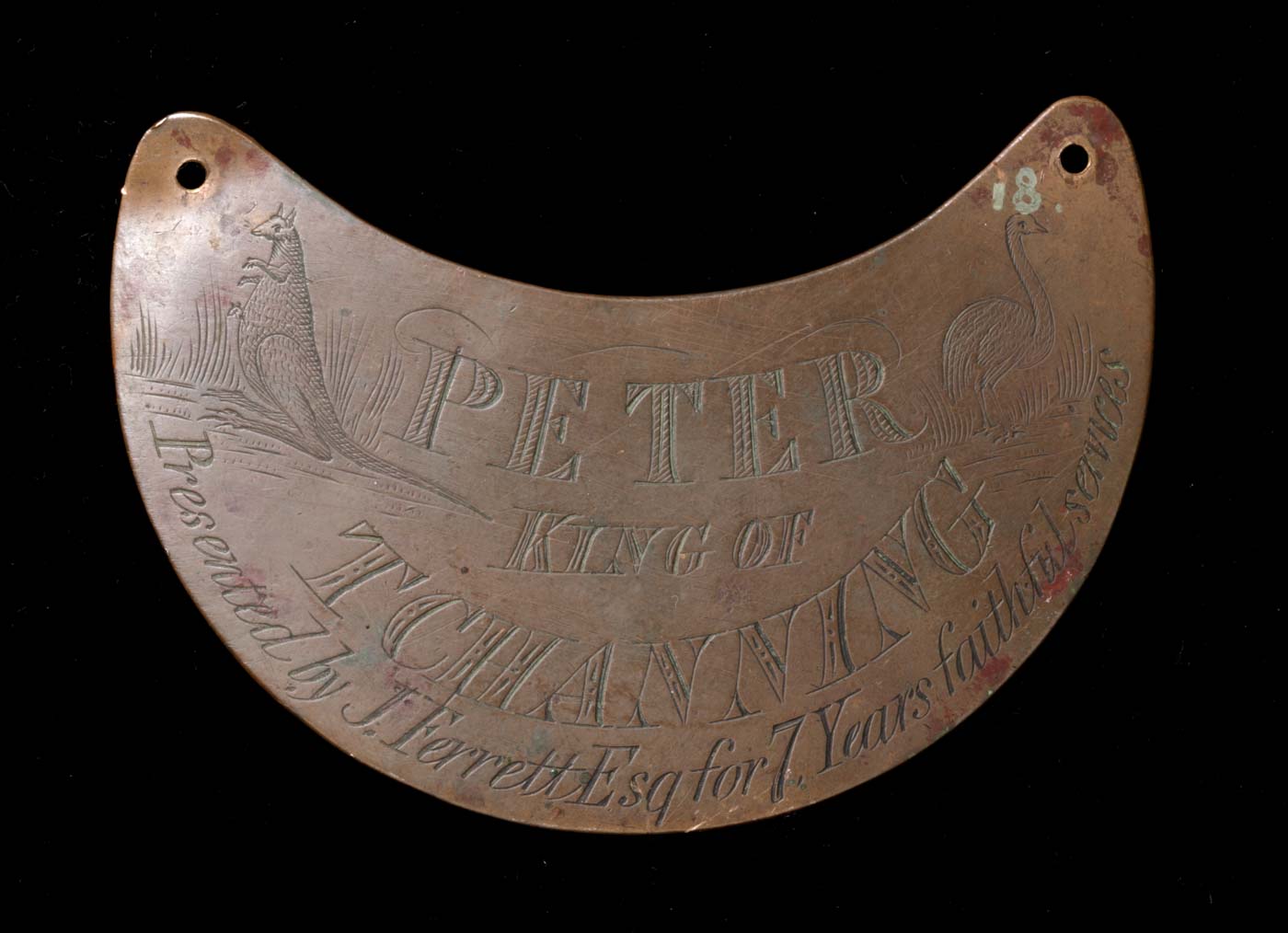 Engraved breastplate that reads 'Peter, King of Tchanning, presented by J. Ferrett Esq for 7 years faithful services'.