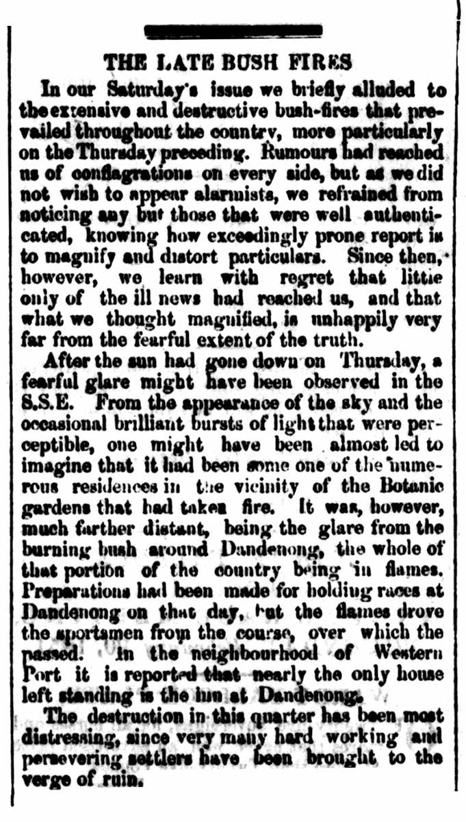 Newspaper clipping with the title “THE LATE BUSHFIRES”. - click to view larger image