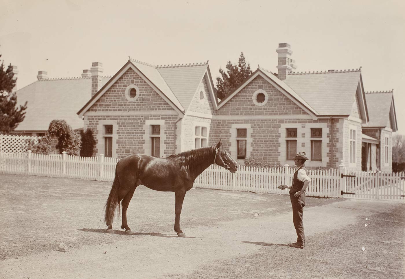 A man with a horse outside the cottage at Springfield. - click to view larger image