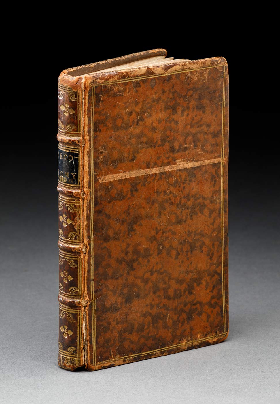 Closed book with a brown mottled leather cover with a gold border. The front hinge is cracked and the top of the front cover is scuffed.  - click to view larger image