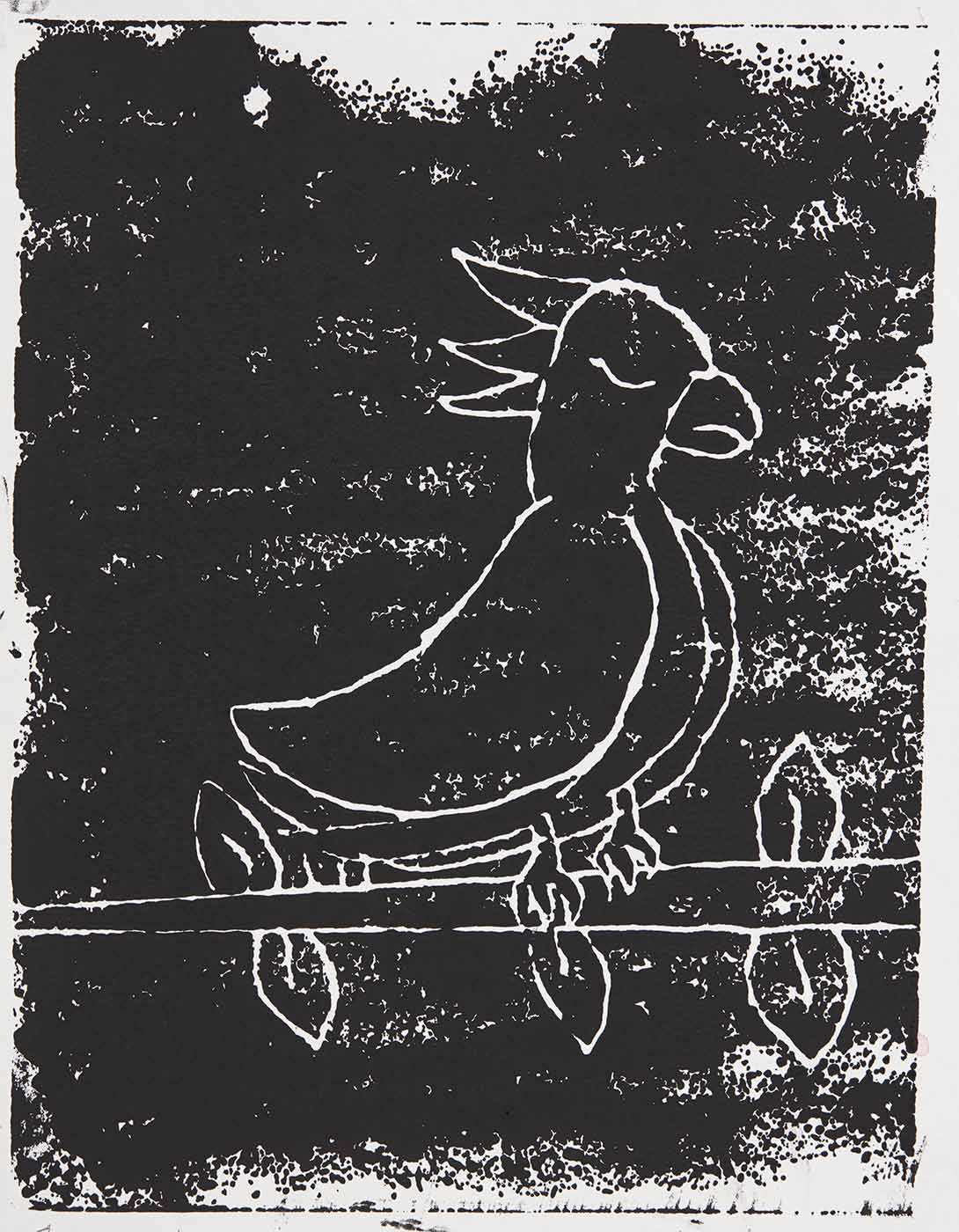 A black print on white cardboard featuring a bird on a branch with leaves. Print is titled, signed and dated 'Flora and Fawna Alexandra Wambach 25/6/19' across the bottom. - click to view larger image