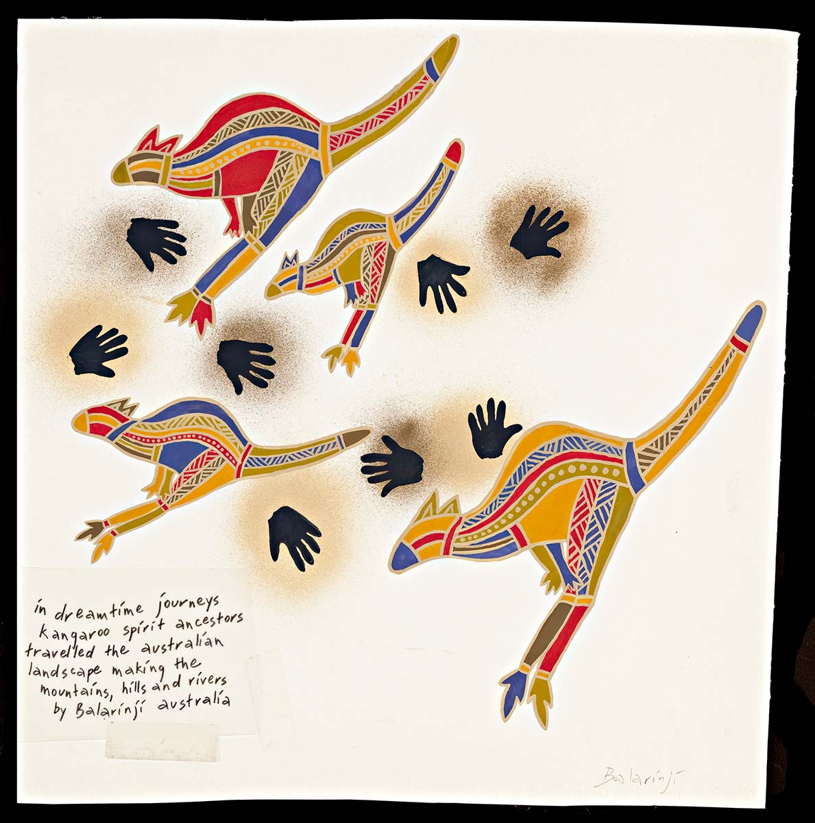A gouache painting on paper. The design features four kangaroos of various sizes, facing left. Each kangaroo is multicoloured with red, blue, olive green, yellow ochre and brown in an X-ray style that is outlined in beige. There are several black handprints, each within dark ochre 'smudge'. In the lower left corner is a transparency of text taped on that reads 'in dreamtime journeys kangaroo spirit ancestors travelled ...'. The text 'Balarinji' is handwritten in pencil on the lower right hand corner of the art work. - click to view larger image