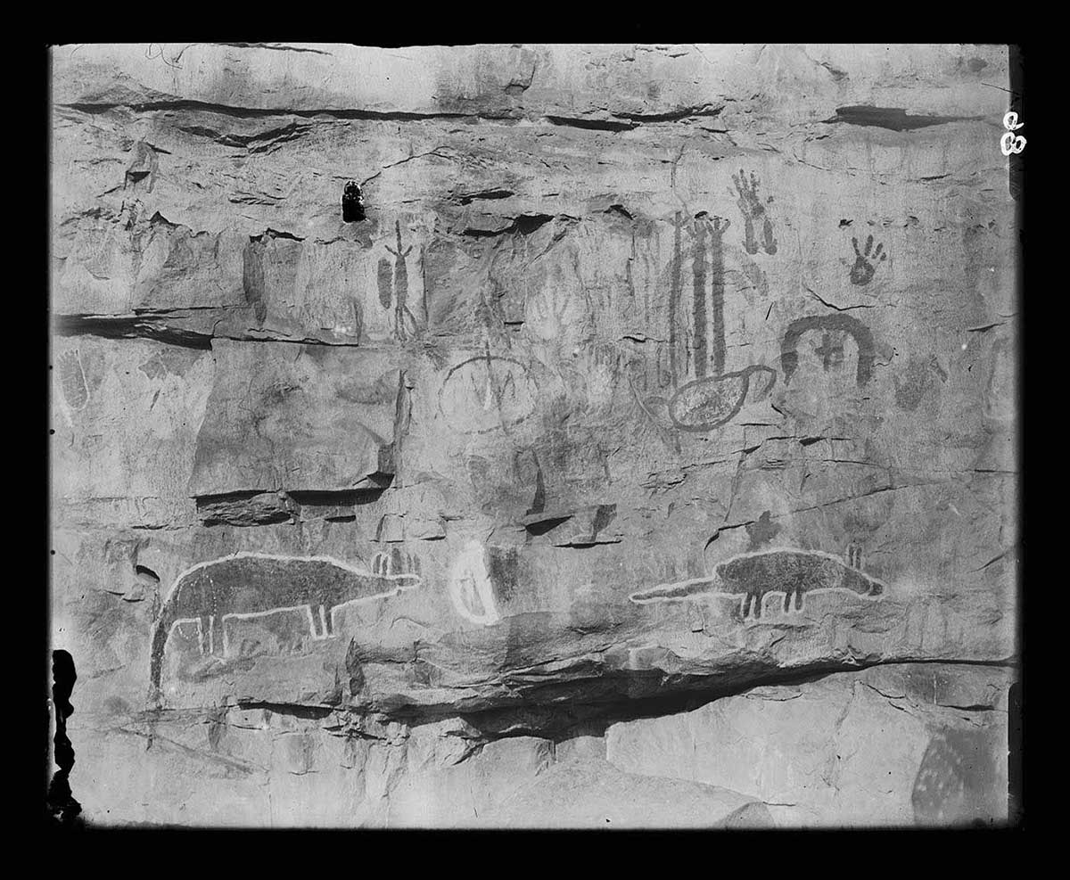 Close up of Aboriginal rock paintings, Forrest River, Western Australia 1916. The paintings depict animals and customary ancestral markings. Some handprints can be seen at the top right hand corner of the group of images. The rock face is marked by strata separations. Some strata edges protude out from the rock face, forming overhangs which cast shadows. - click to view larger image