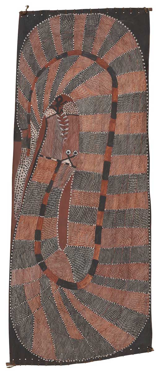 A bark painting worked with ochres on bark and on wooden restrainers. It depicts a serpent spiralled in an anti-clockwise direction. The serpent has white pointed teeth and a black and brown line along its spine. Its body has stripes of hoizontal black and brown crosshatching. A small black human figure is at the mouth of the serpent. - click to view larger image