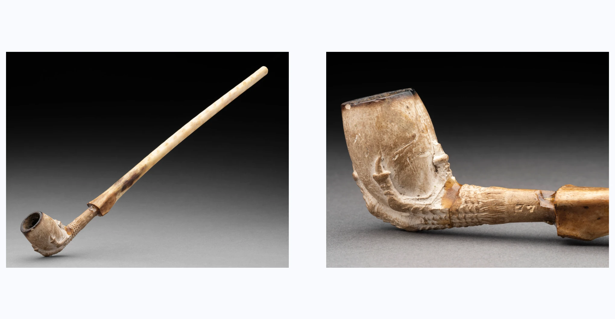 A pipe with a clay bowl and shank, and a bird bone stem. The shank has been moulded to look like the foot of a bird with the claws cupping the bottom of the bowl. Impressed into the side of the shank is '77'. The end of the shank is inserted into one end of a cream wing bone which has dark brown marks across the surface of the same end. The two pieces are secured with a clear adhesive. The same adhesive is also present around a crack near the base of the bowl. The inside and the rim of the bowl are stained dark brown.