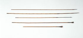Five reed or bamboo arrows with  hardwood points.