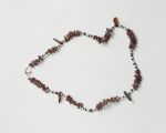 Necklace consisting of small white shells, small dark wooden discs, small reddish-brown snail shells and larger pieces of tortoiseshell arranged on a string.