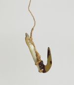 Fishhook with mother-of-pearl shank, the hook made of tortoiseshell, both secured together with plaited cord of plant fibre to form the line.