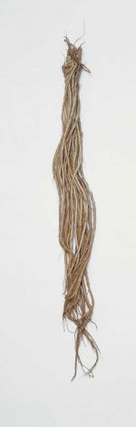 Flax sample of twenty twisted cords, ending in loose strands, knotted together at the upper edge and held together by a thin band.