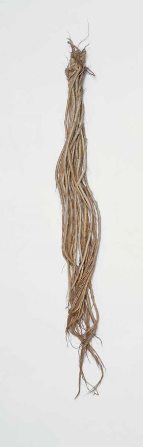 Flax sample of twenty twisted cords, ending in loose strands, knotted together at the upper edge and held together by a thin band.