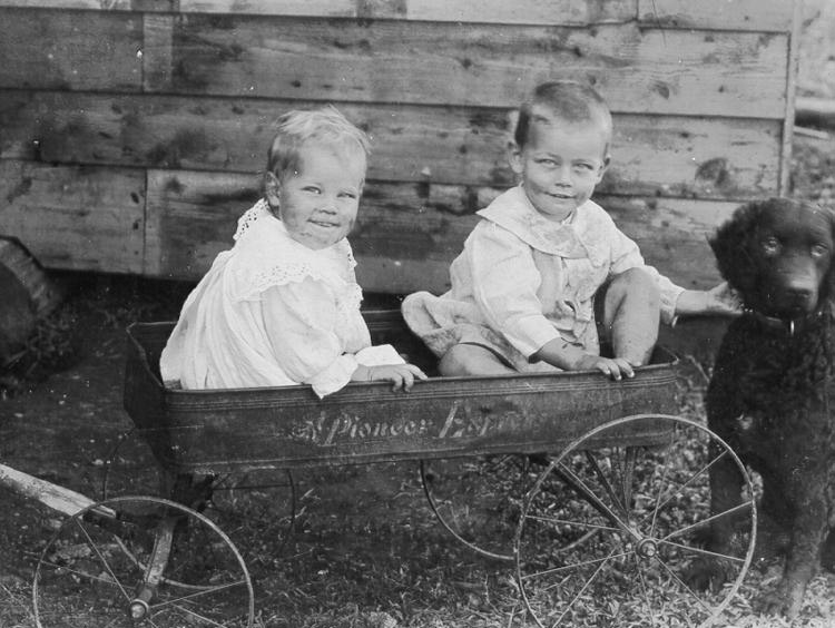Two children under two smiling from inside a toy card. One is fondling a black puppy.