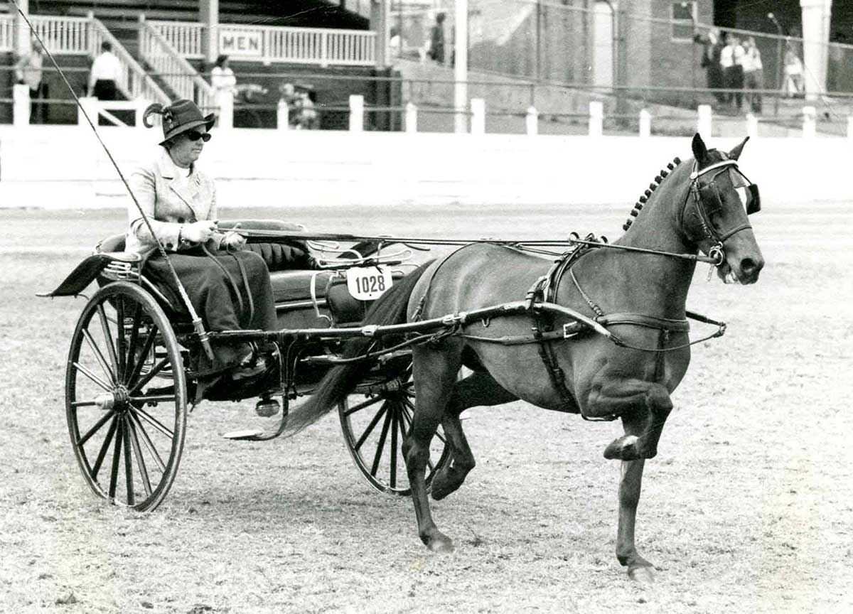 A woman wearing a suit and hat drives a carriage which is pulled by a pony.