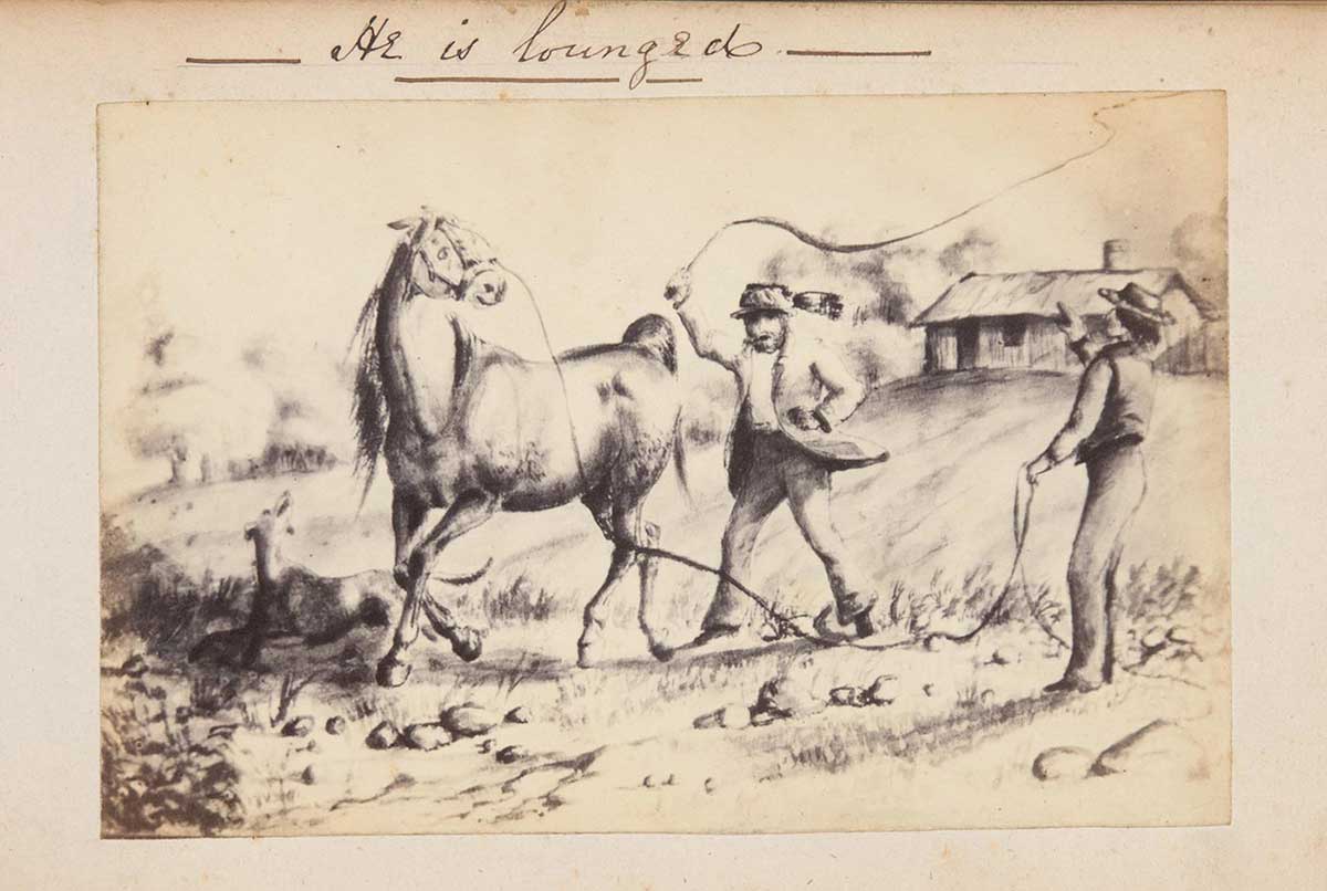 Illustration of two men, one whipping a horse. There is text at the top that reads 'He is lounged'. - click to view larger image