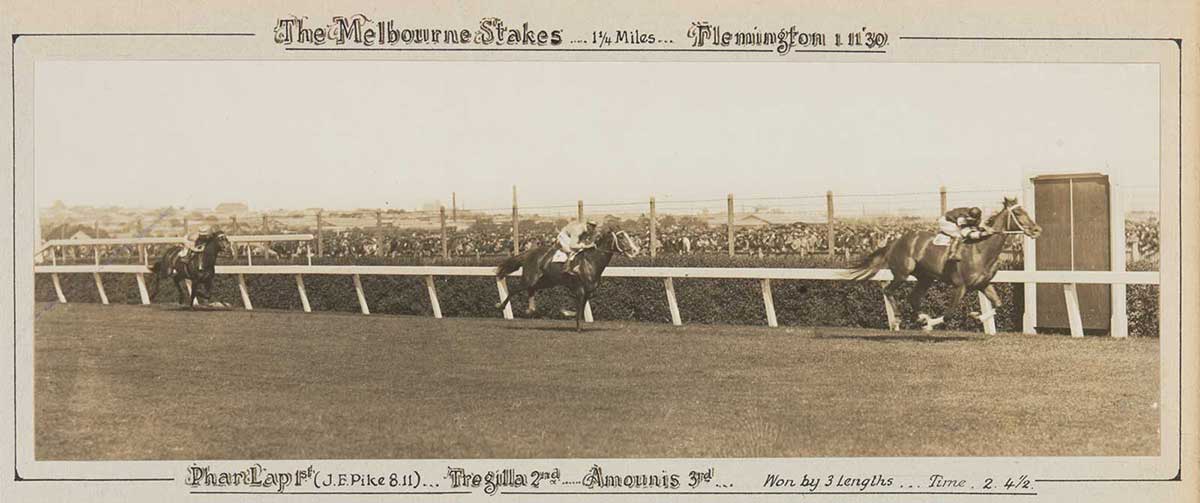 A black and white photo of Phar Lap winning the  Melbourne Stakes, 1930. - click to view larger image