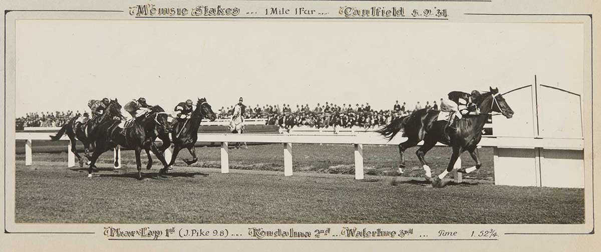 A black and white photo of Phar Lap winning the Memsie Stakes, 1931. - click to view larger image