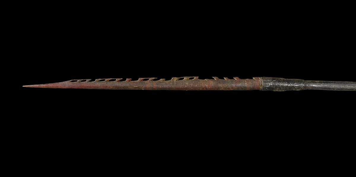 Wooden spear with carved barbs along one side of the red ochred head. Black gum is applied onto the spear. - click to view larger image