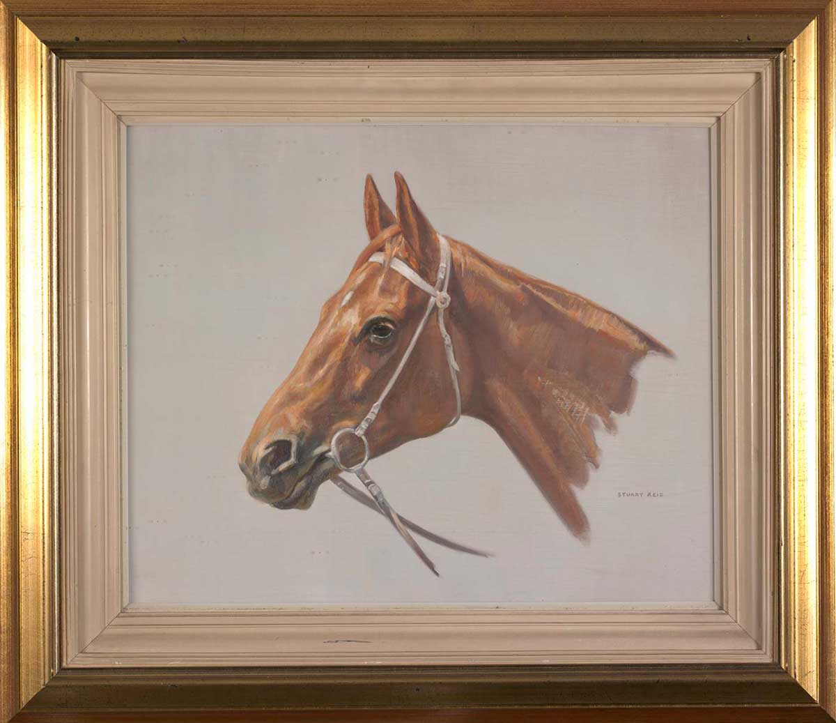 painting of Phar Lap by Stuart Reid - click to view larger image