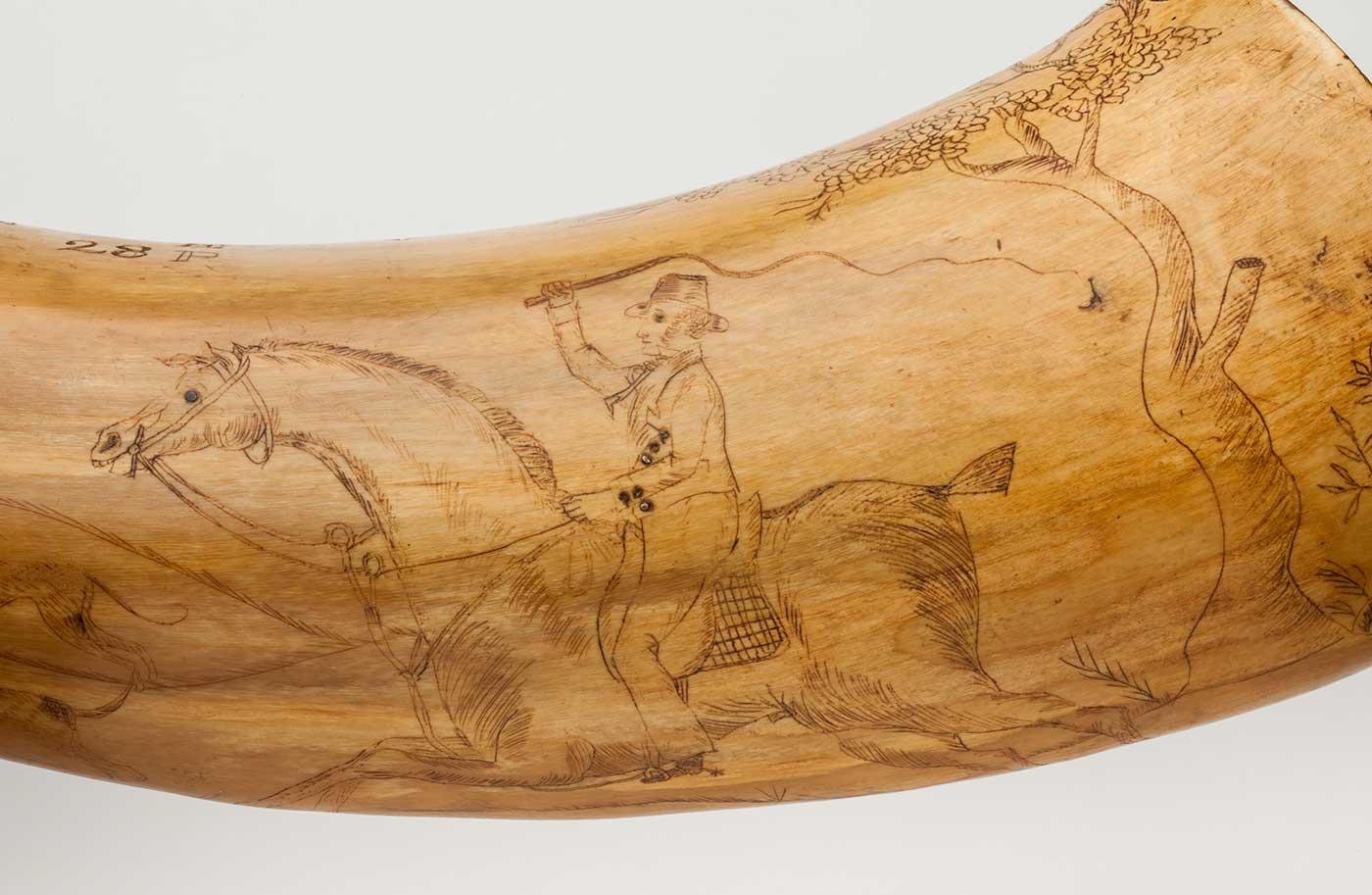 Detail image showing a man on horseback, etched into a piece of scrimshaw. 