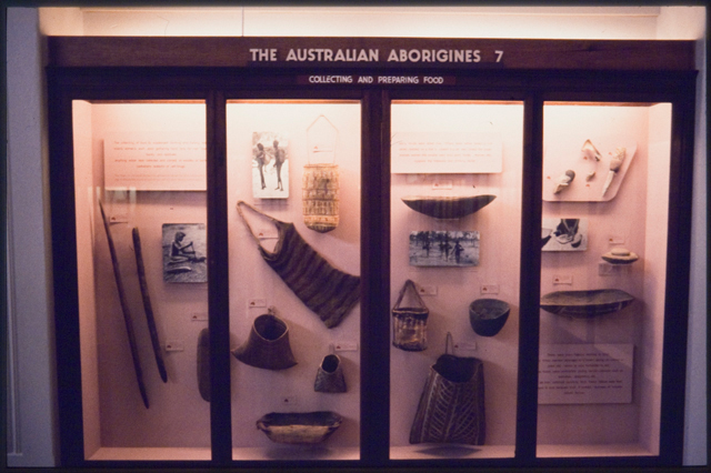 Museum cabinet displaying photos and Aboriginal objects. The cabinet has a wooden frame. A sign in raised letters on the upper part of the cabinet frame says 'The Australian Aborigines 7'. A smaller raised letter sign under it says 'Collecting and Preparing Food'. Four tall, rectangular glass panels, each with its own wooden frame, are at the front of the cabinet. In the cabinet are eighteen objects, including digging sticks, bark receptacles, woven bags, wooden bowls, grinding stones and cutting implements. The objects are all mounted on the cabinet back wall. Three text panels and three photographs are also in the cabinet. Fluorescent lights shine down from the cabinet roof, although the light fightings themselves aren't visible. - click to view larger image