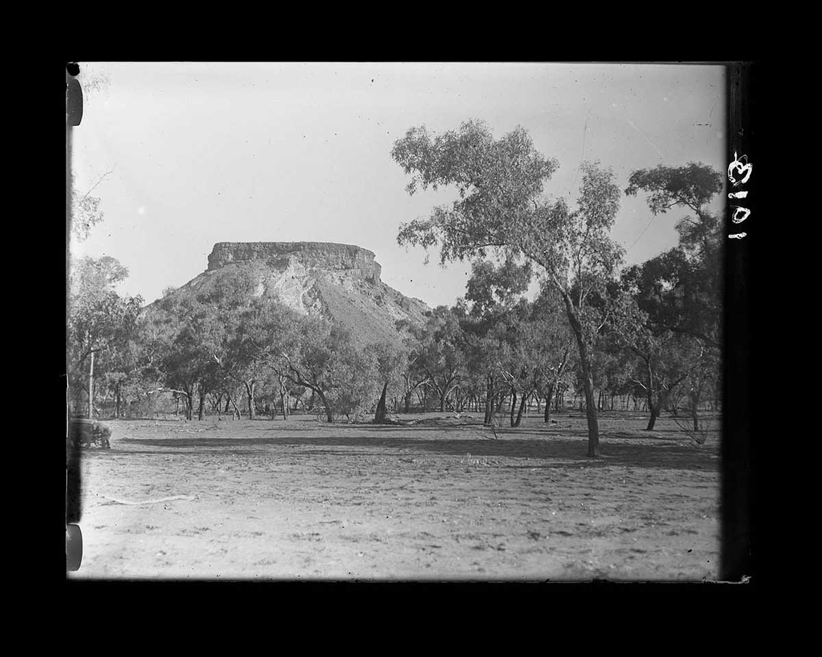 Crown Point, southern Northern Territory 1923. A large rock plateau sits atop a hill. The plateau is seen in the distance, above trees in the middle ground. The plateau is quite distinct from the hill as it rises abruptly from the hill formation. The hill has areas of significant erosion on its sides. The ground beneath the trees is mostly bare, except for what appear to be small tufts of grass or wiindswept piles of leaf litter and other organic debris. The sun is not very high in the sky, as long shadows are cast by the trees. - click to view larger image