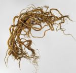 A bundle of twisted flax strands consisting of twelve individual strands.