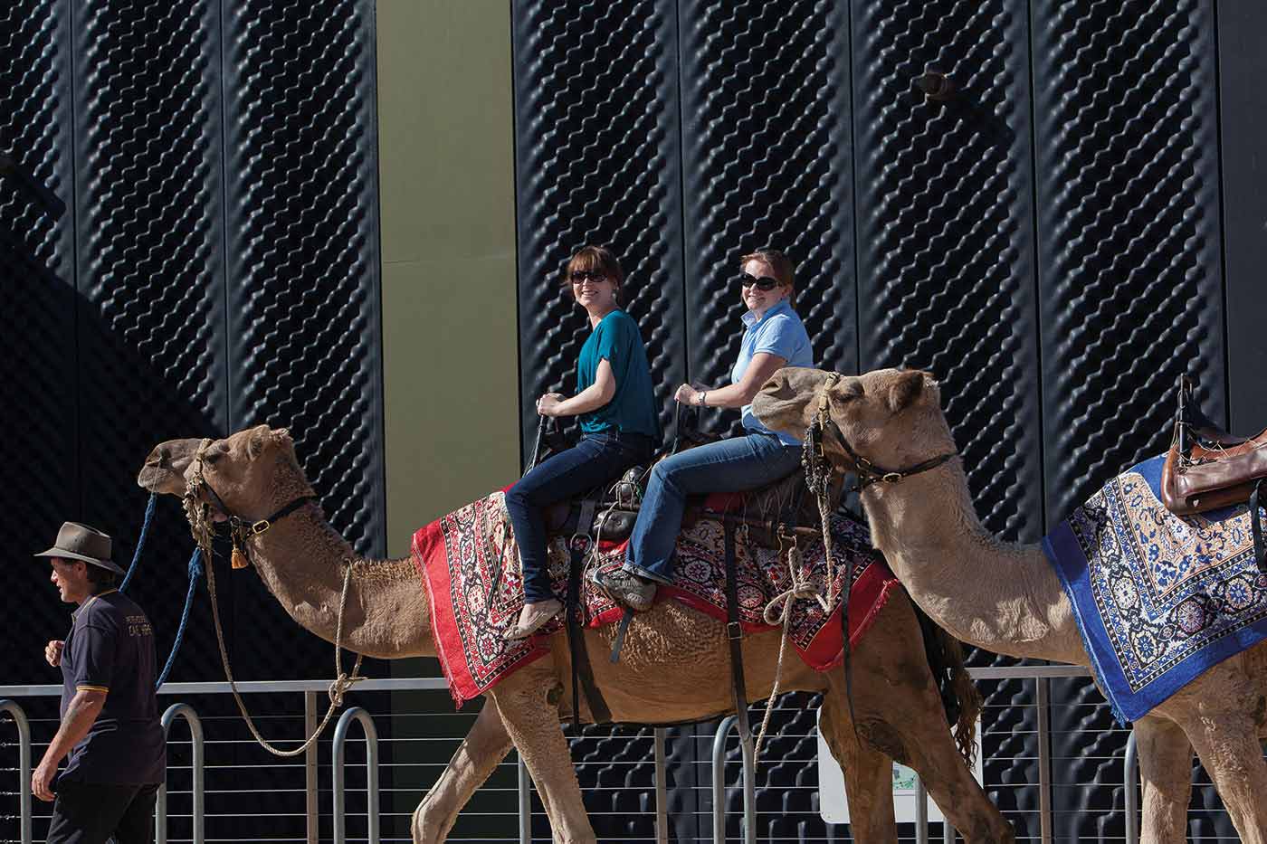 A photograph of a man wearing a hat who is leading two camels. There are two women riding the first camel.