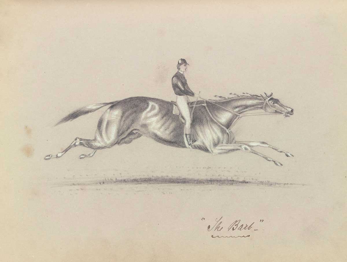 Pencil sketch of a jockey riding a horse. The horse is airborne, with both sets of legs outstretched. 'The Barb' is written in cursive script bottom right.