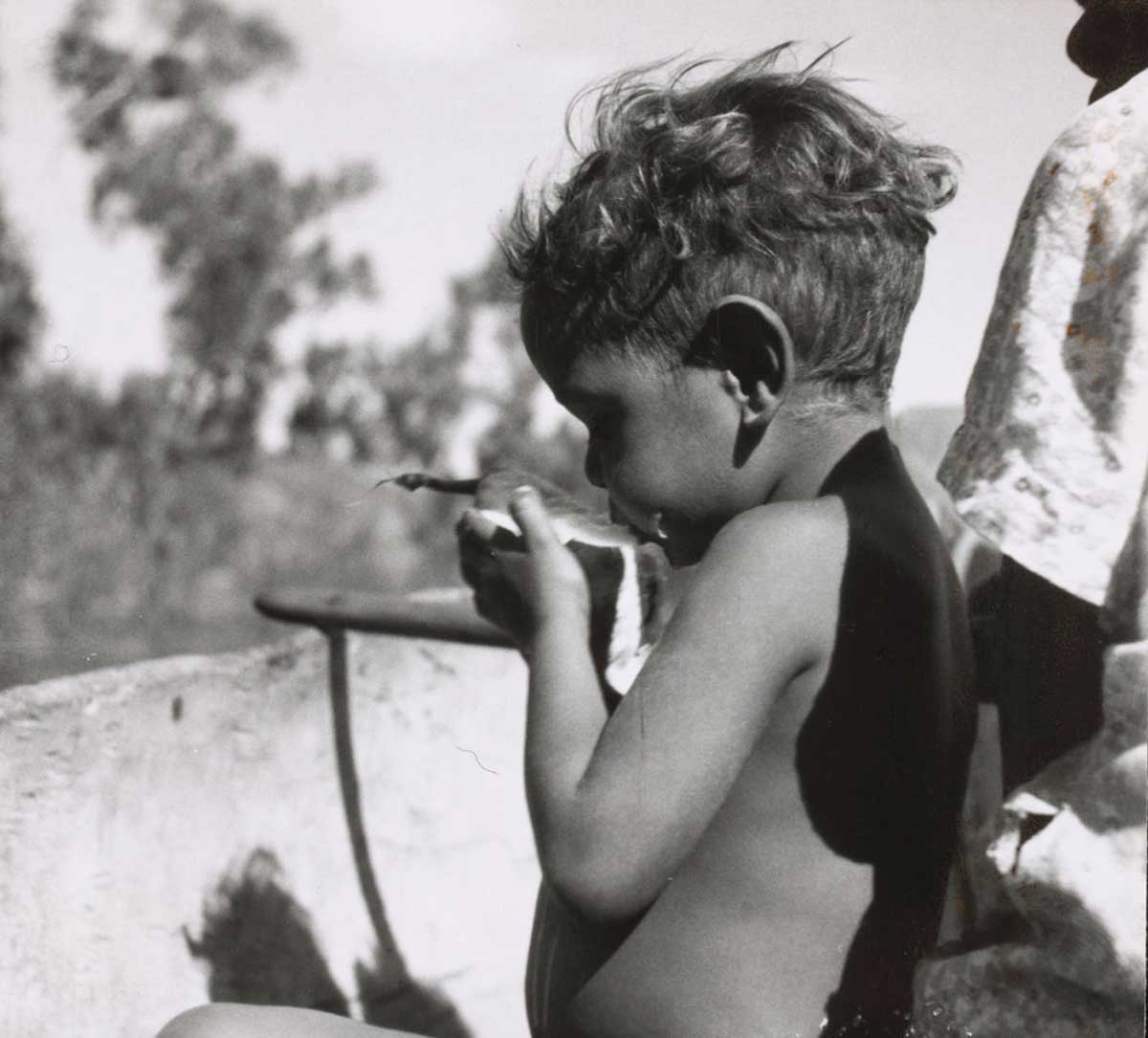 A black and white photograph that depicts an Aboriginal boy sitting in a canoe eating a piece of watermelon. - click to view larger image