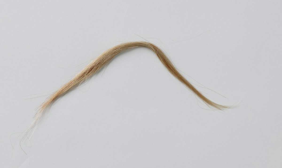 Blonde hair smaple. - click to view larger image