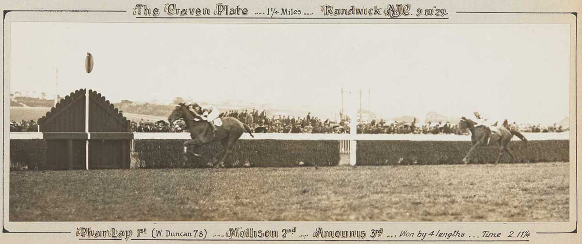 A black and white photo of Phar Lap winning the Craven Plate, 1929. - click to view larger image