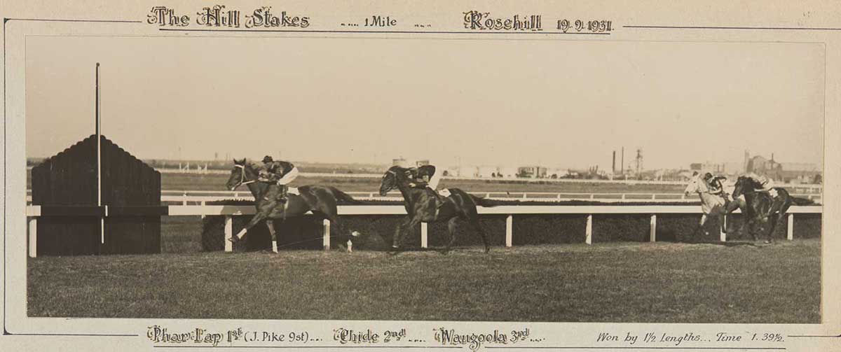 A black and white photo of Phar Lap winning the Hill Stakes, 1931. - click to view larger image