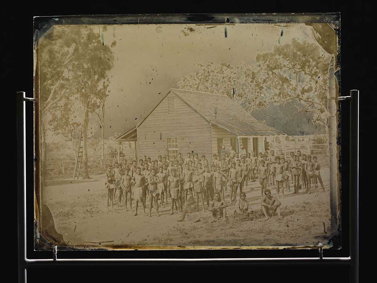A large group of men, mainly wearing loin cloths, standing and sitting outside a small wooden building, with gum trees in the background. - click to view larger image