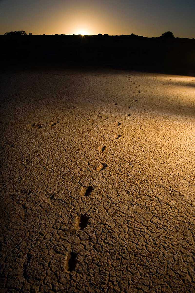 Human footprints leading to silhouetted hills in the distance. - click to view larger image