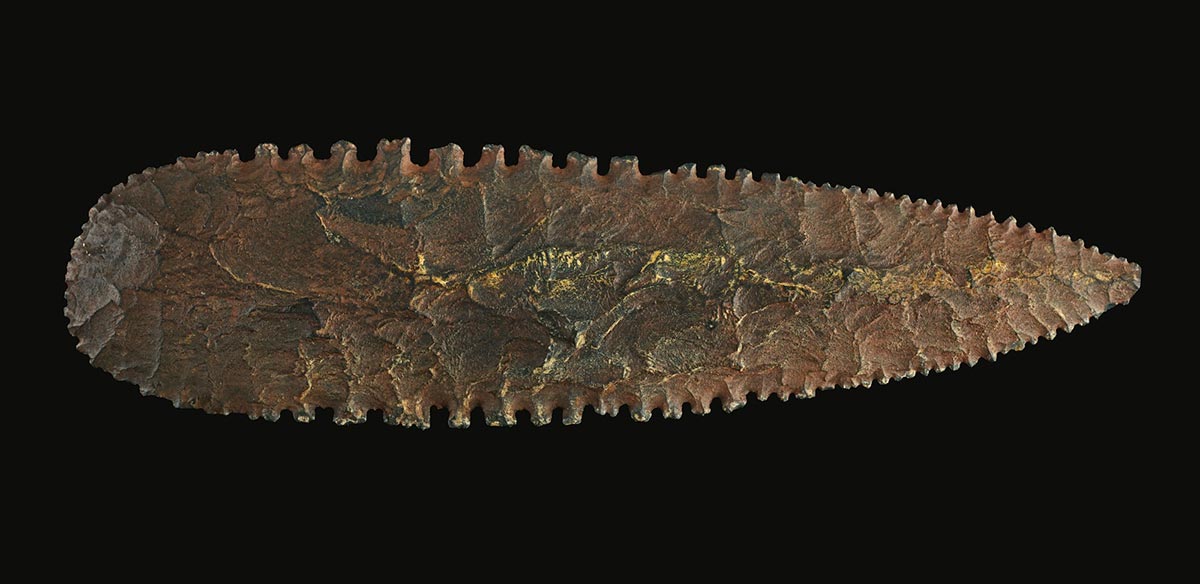 Spearhead with serated edges. - click to view larger image