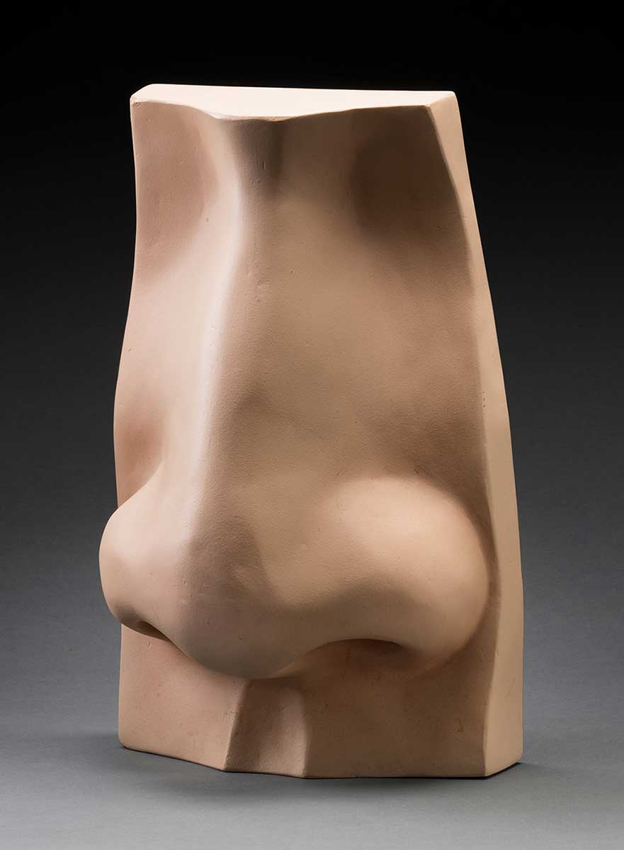 Mounted three-dimensional model of a nose. - click to view larger image