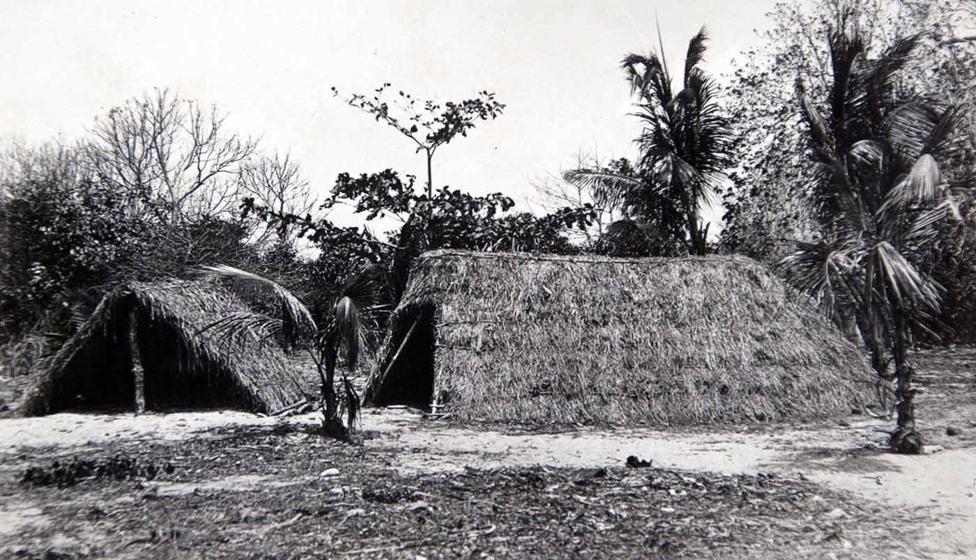 Black and white photograph showing two shelters covered in plant material.