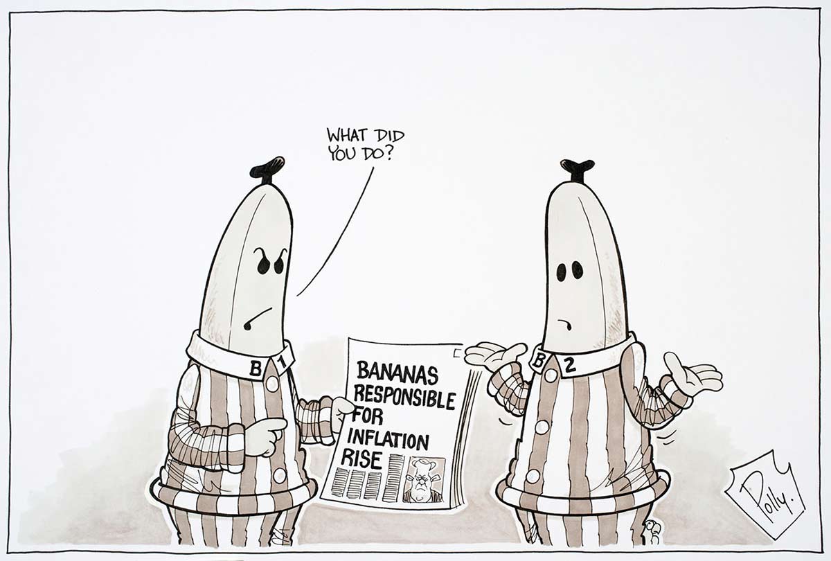 Political cartoon of Bananas in Pyjamas characters B1 and B2 looking annoyed at reading a newspaper article about bananas being responsible for the inflation rise. - click to view larger image