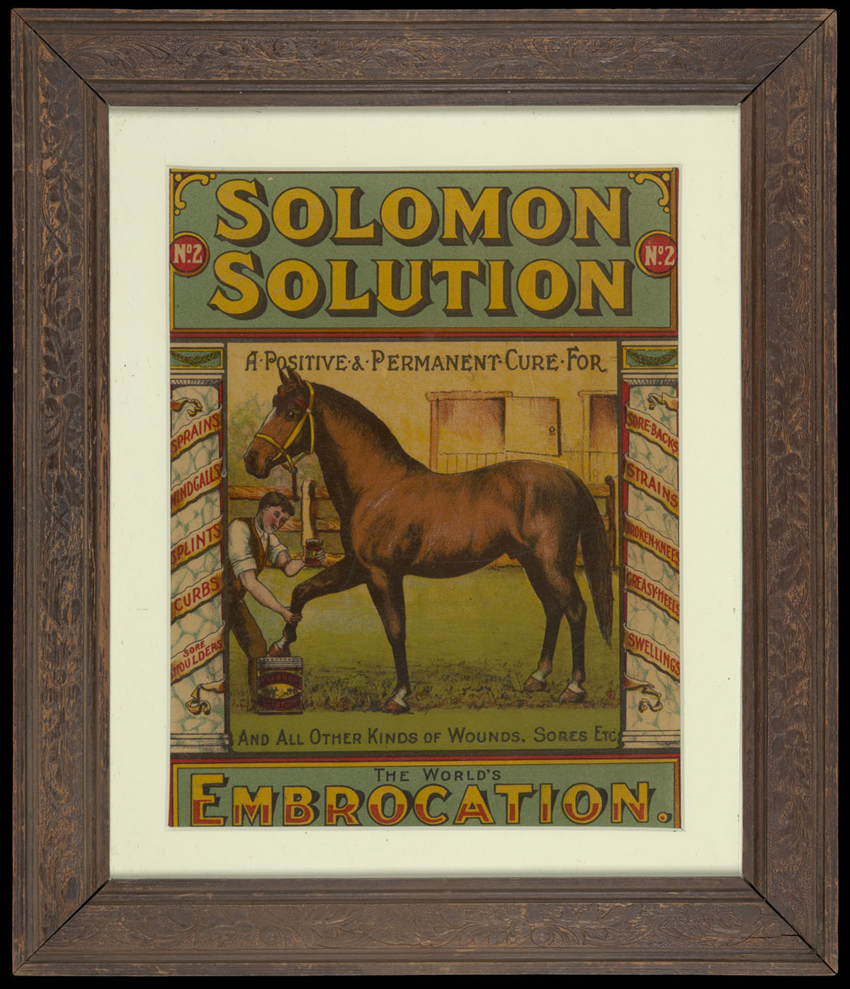 A framed poster with a man treating a horse's front leg. Text reads 'Solomon Solution, the worlds embrocation'. - click to view larger image
