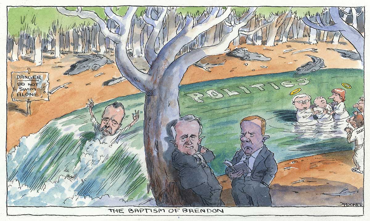 Brendan Nelson slips down a waterfall beside a sign which reads 'Danger: do not swim alone'. The stream is named 'Politics' and crocodiles lurk on the far bank. Malcolm Turnbull rests on a tree on the near bank with his arms crossed. Peter Costello stands beside him reading a book. Further up the stream, Kevin Rudd and Julia Gillard both sport haloes, and are about to baptise a man. They are watched by a man standing on the bank with '2020' on the back of his shirt. - click to view larger image