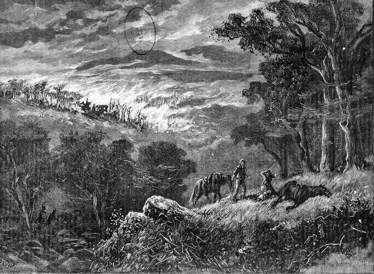 Artwork depicting a man and woman with horses walking through bushland and fleeing from a fire that has devastated their home. One of the horses is lying on the ground and appears to be dead.