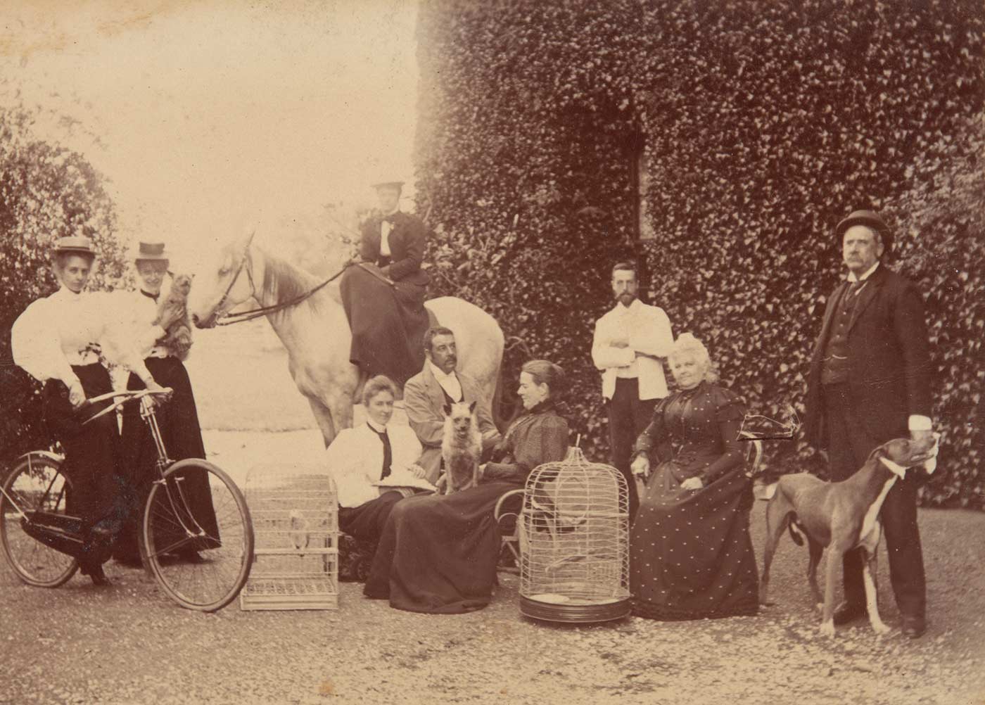 A black and white photograph that depicts Faithfull family group outside the Big House at Springfield. Left to right: Hope Faithfull with bicycle; Clare Faithfull holding a small dog; Lilian Faithfull on her horse; in front of her Ethel Faithfull (nee Joplin); Lucian Faithfull; Florence Faithfull with a dog on her lap; William Hugh Anderson with his arms folded, standing in the background wearing a light coloured jacket; unidentified woman seated; unidentified man standing. There are two cages holding birds in the foreground. - click to view larger image