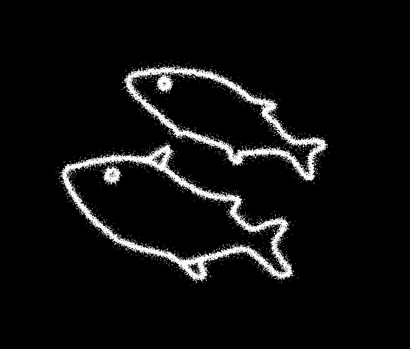 White outlines of two fish on a back blackground. - click to view larger image