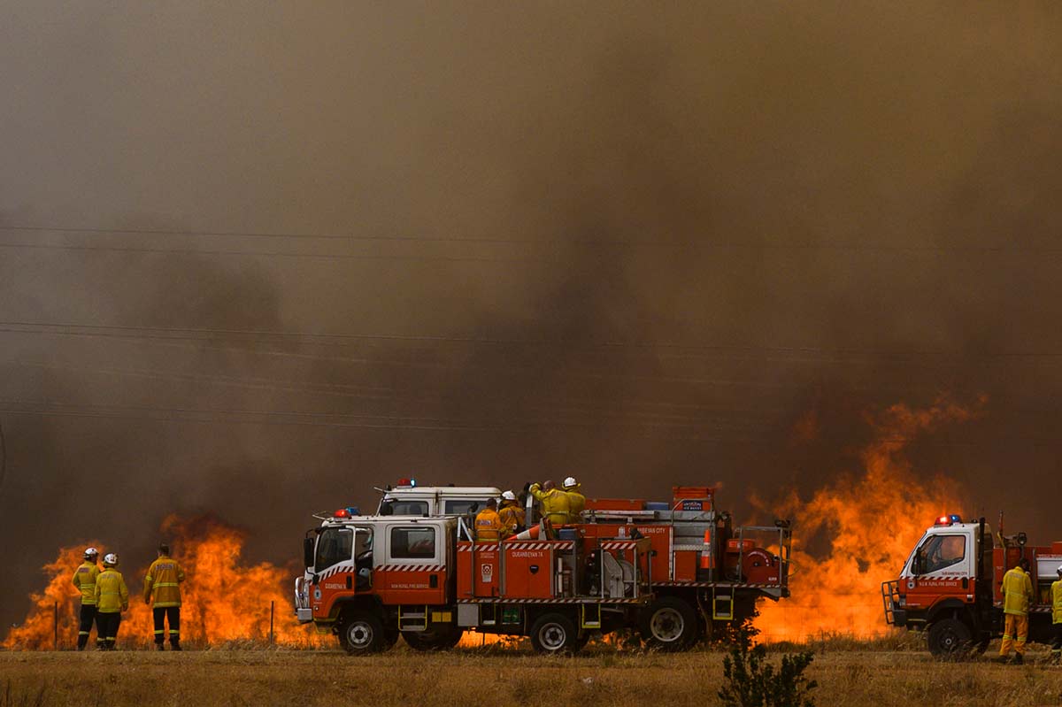 Fire trucks and firefighters surveying a raging bushfire on farmland. - click to view larger image